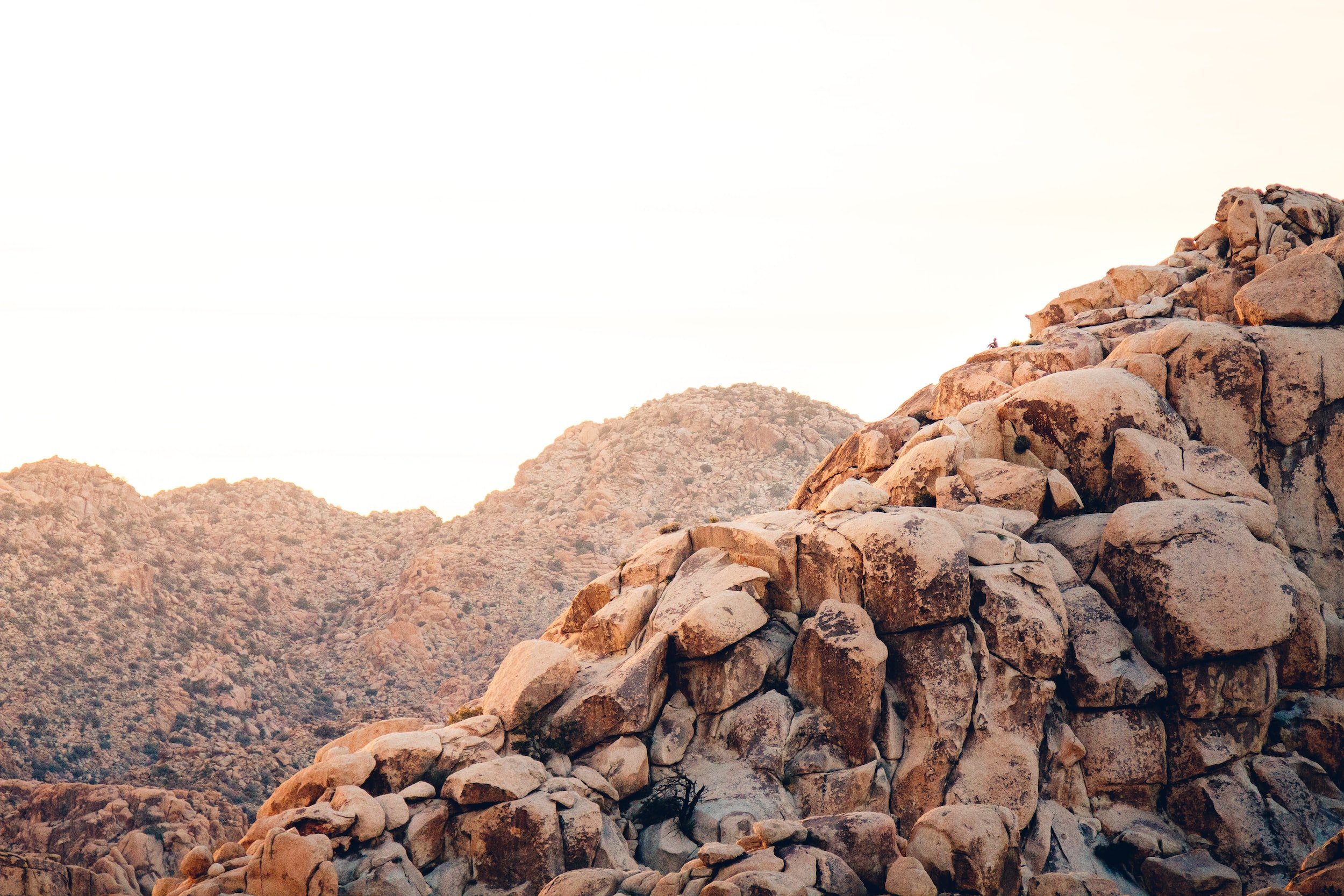 unsplash-image-vU7HW_mK2rc.jpg