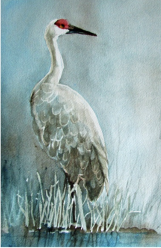 Beginner Watercolor Workshop | Sandhill Crane