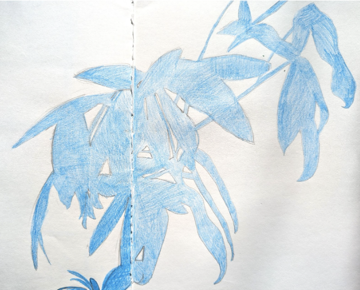 Learning How to See (Part 2): Positive and Negative