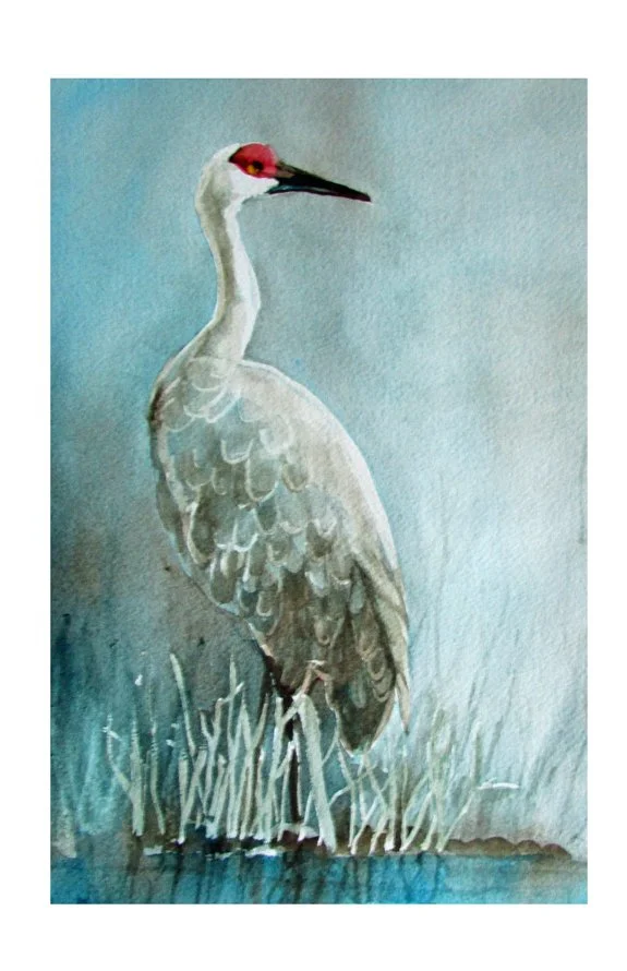 Beginner Watercolor Workshop | Sandhill Crane