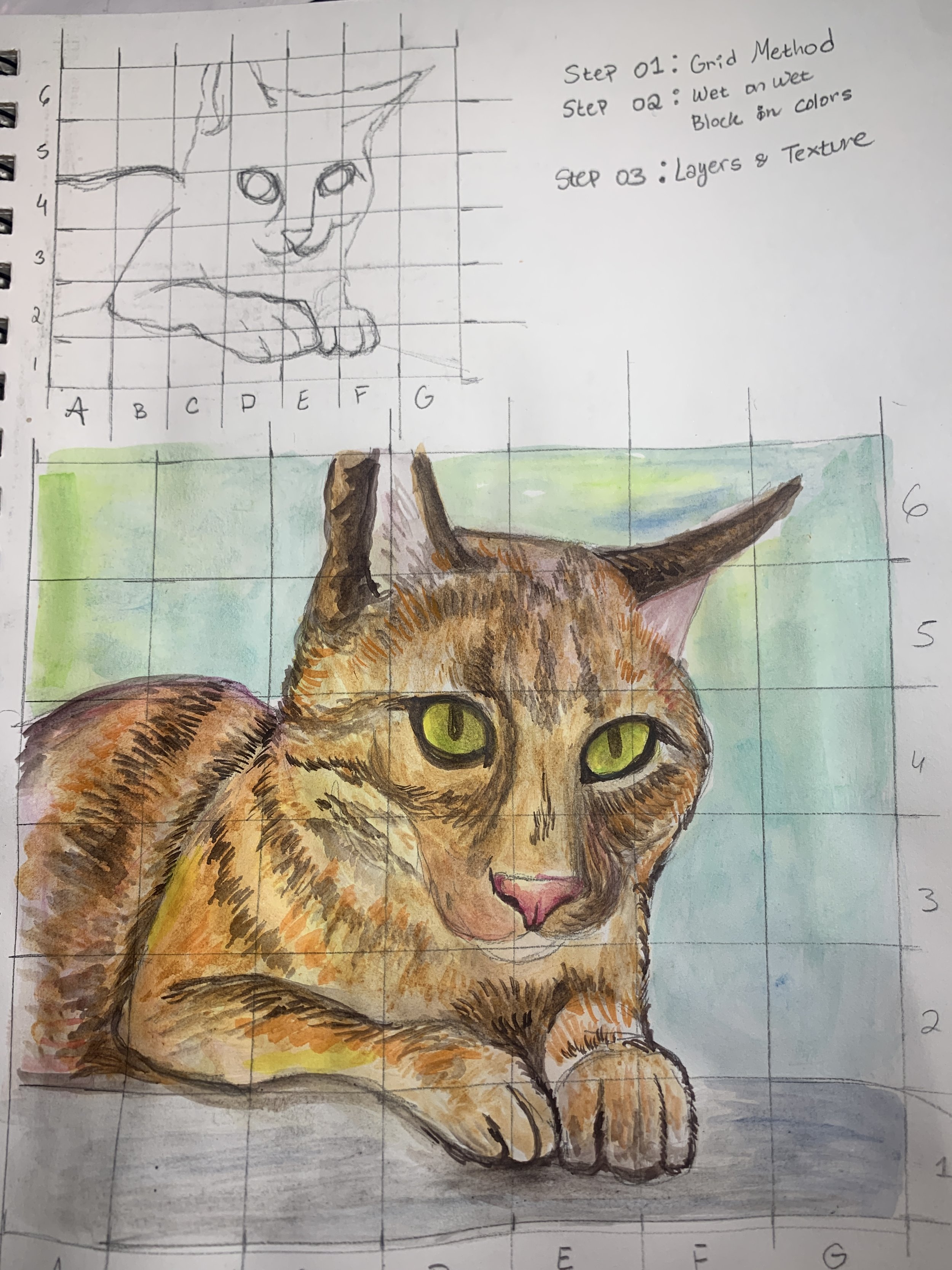 Pet Portraits - Sketching & Watercolor