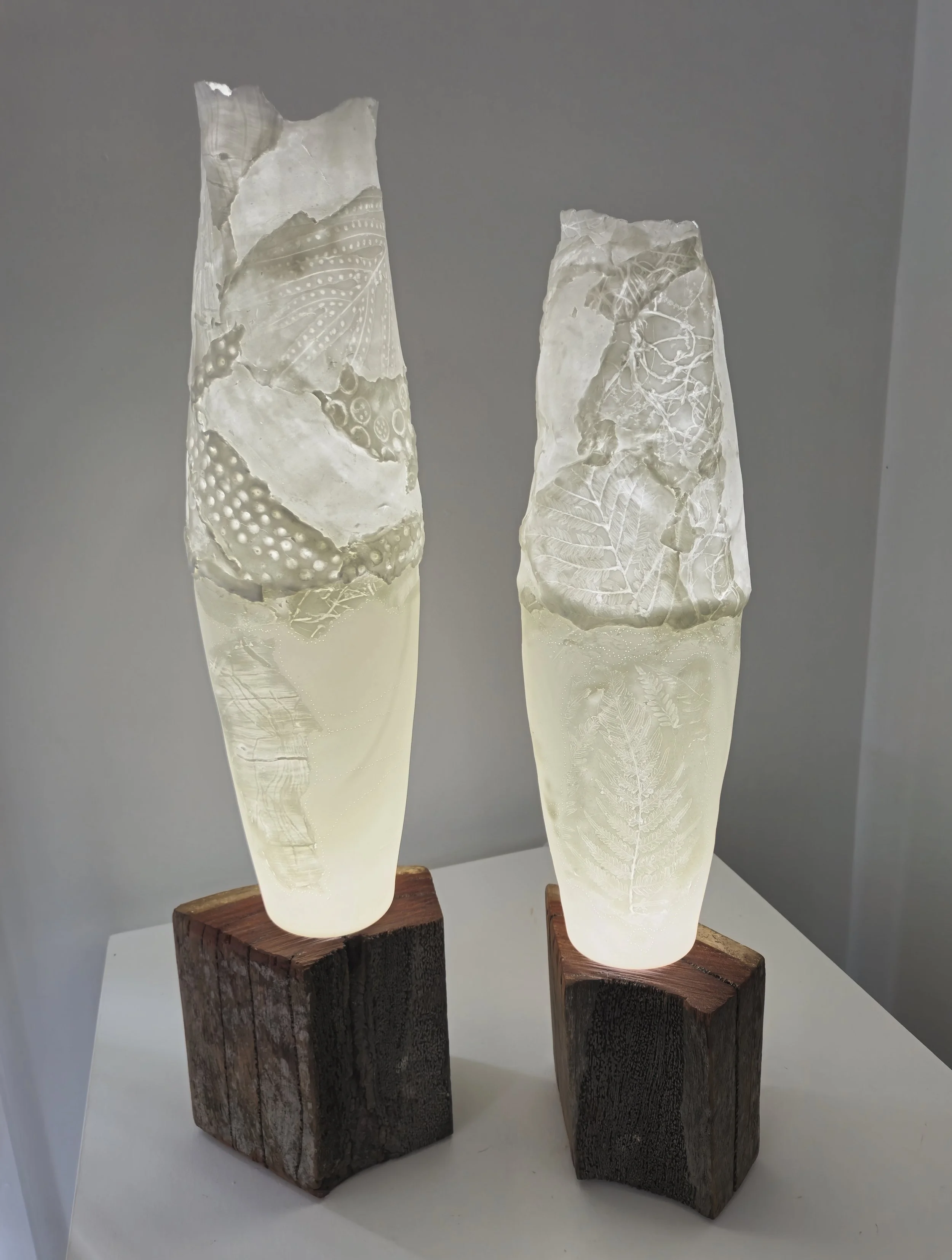 Cillamorph Bloom -
Bone China, LED lighting, wood slab
