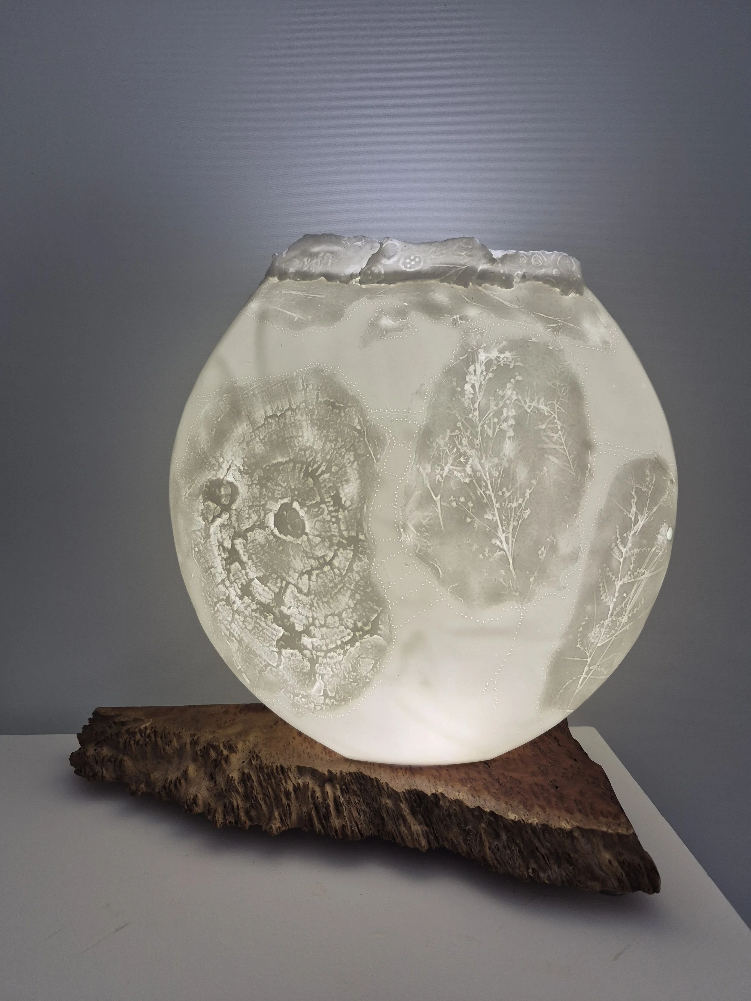 Lumina - Finalist at The Winter Salon 2026 - Gallery Lane Cove - Bone China, wood burl, Led lighting.