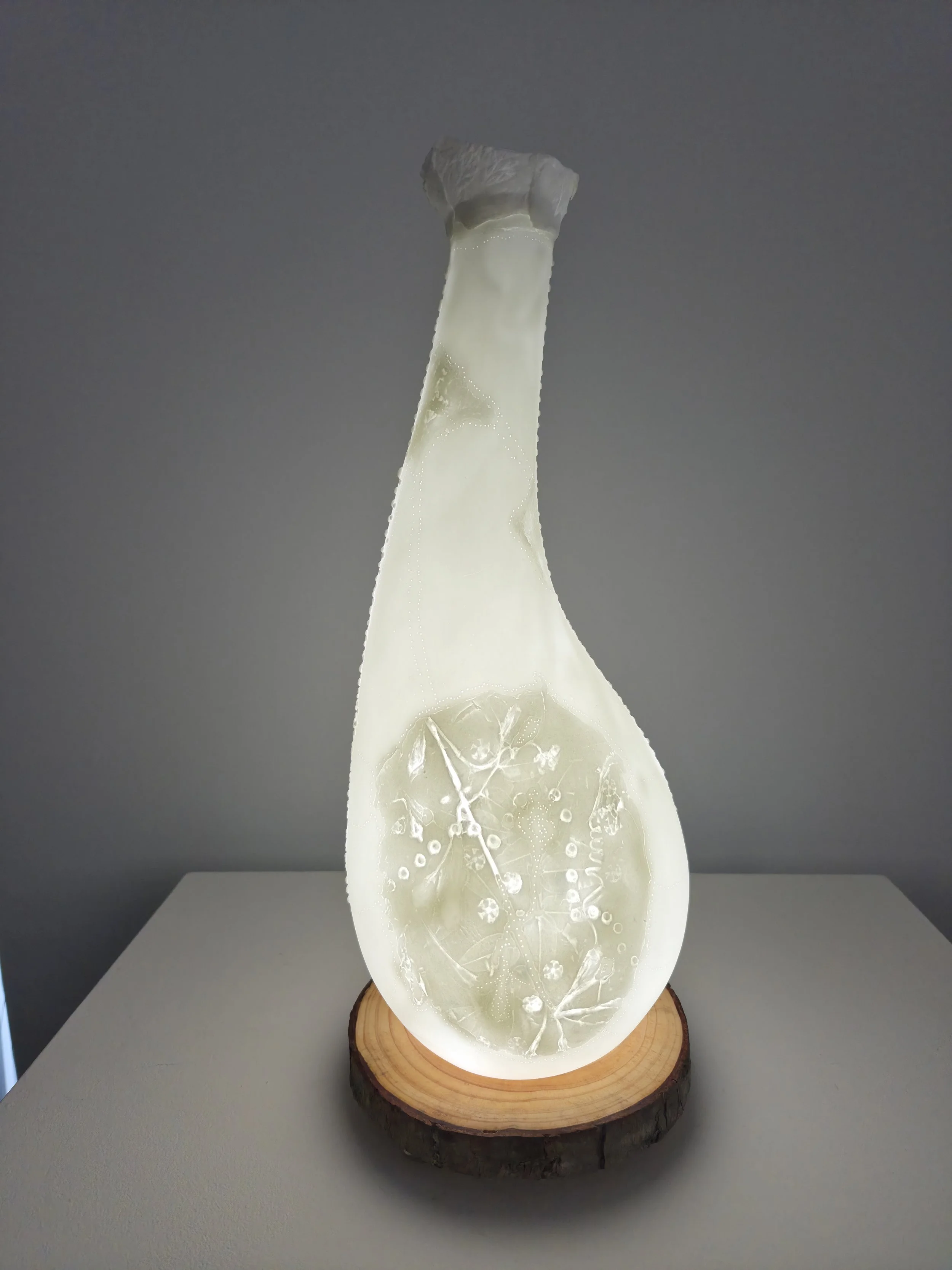 Bulb (Understory series)