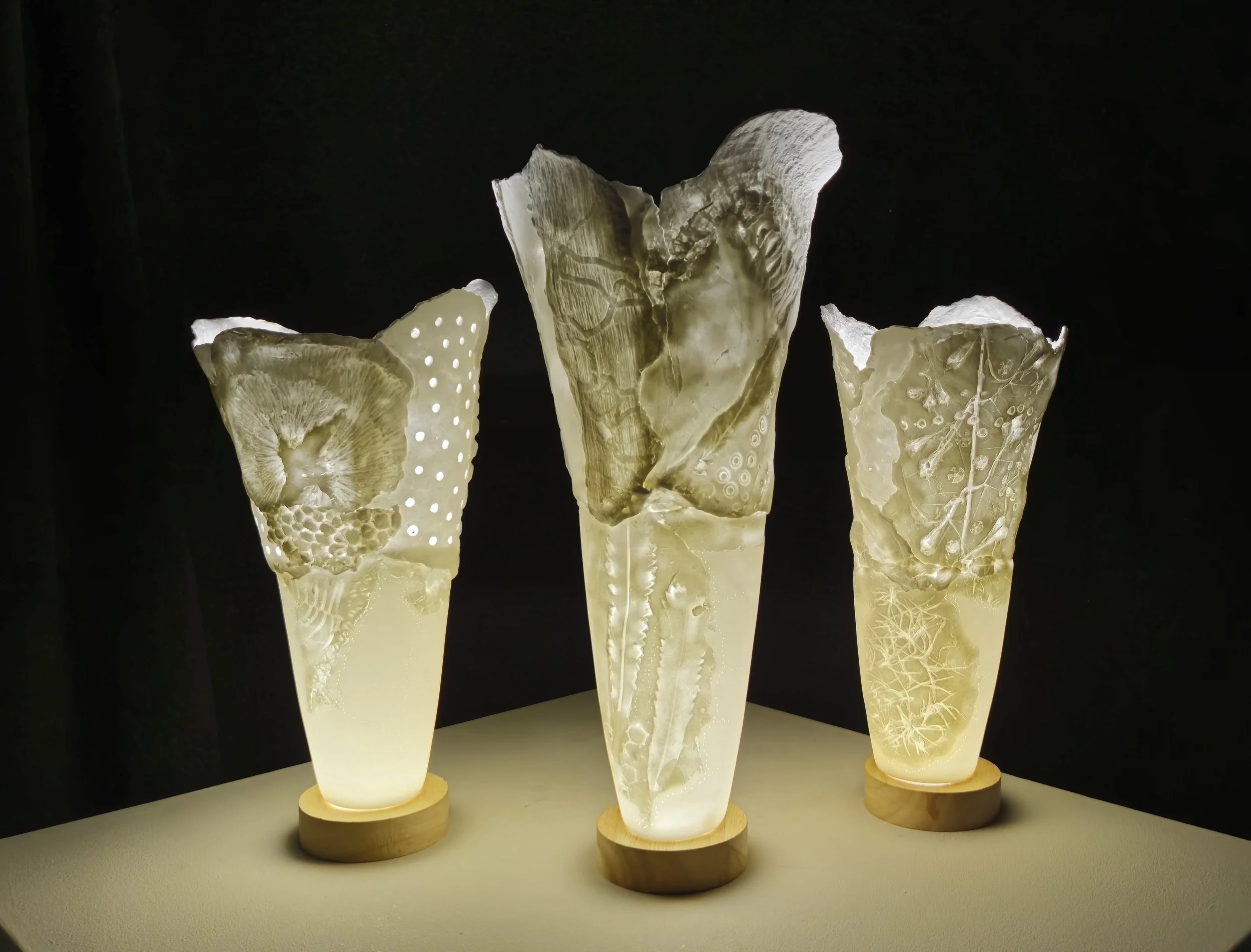 Cellaspore
Bone China,  LED lighting