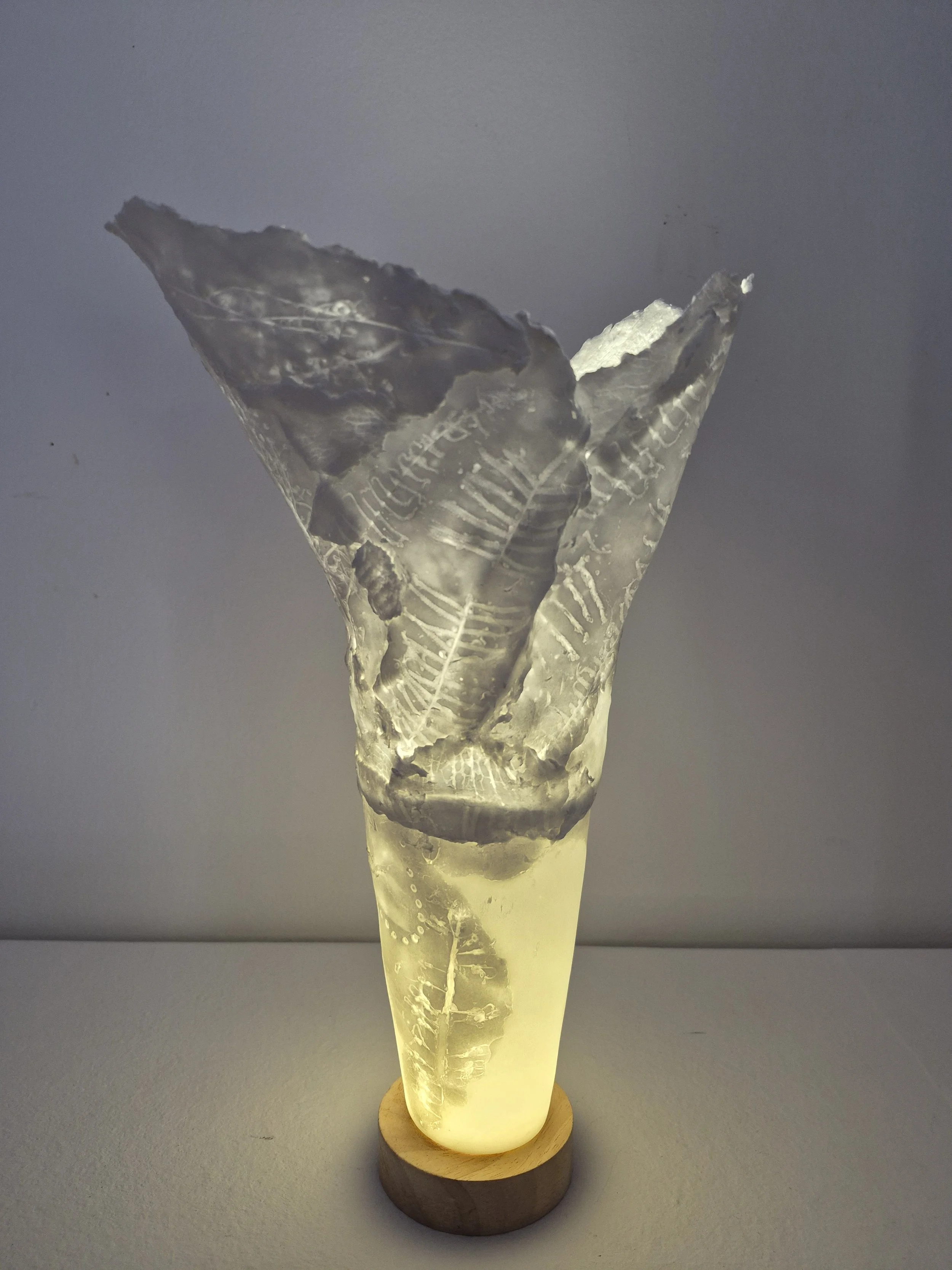 Cellaspore II