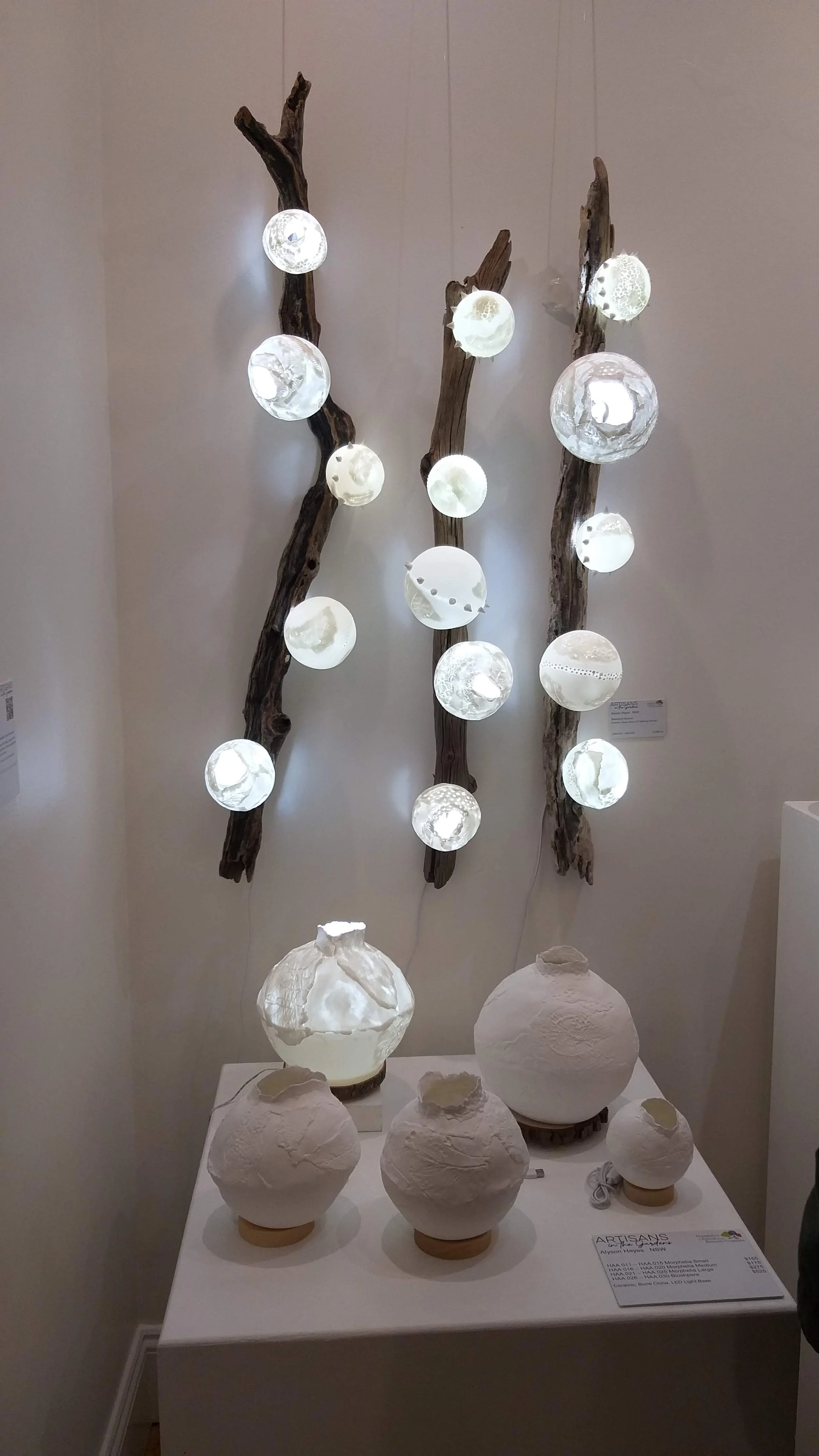 Biomorph, Biosphere and Morphelia - Runner up peoples choice award - Artisans in the Gardens 2023 - Bone China, wood, Led lighting.