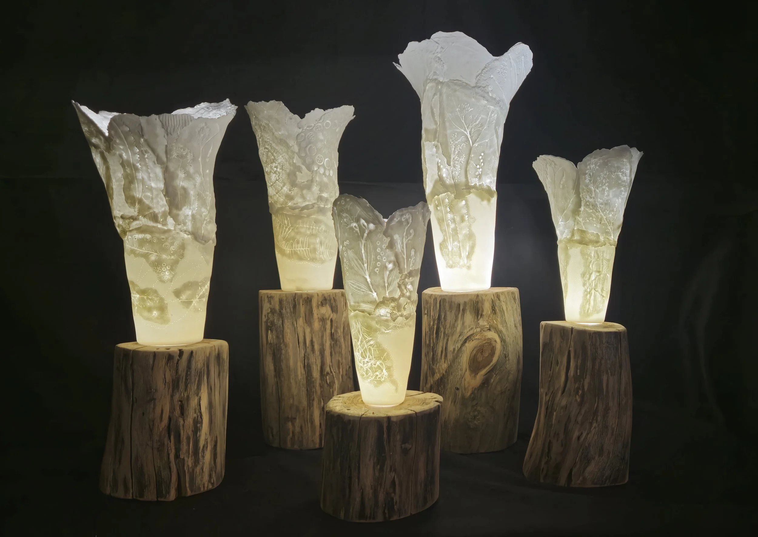 Cellaspore Bloom -
Bone China, LED lighting, wood stump