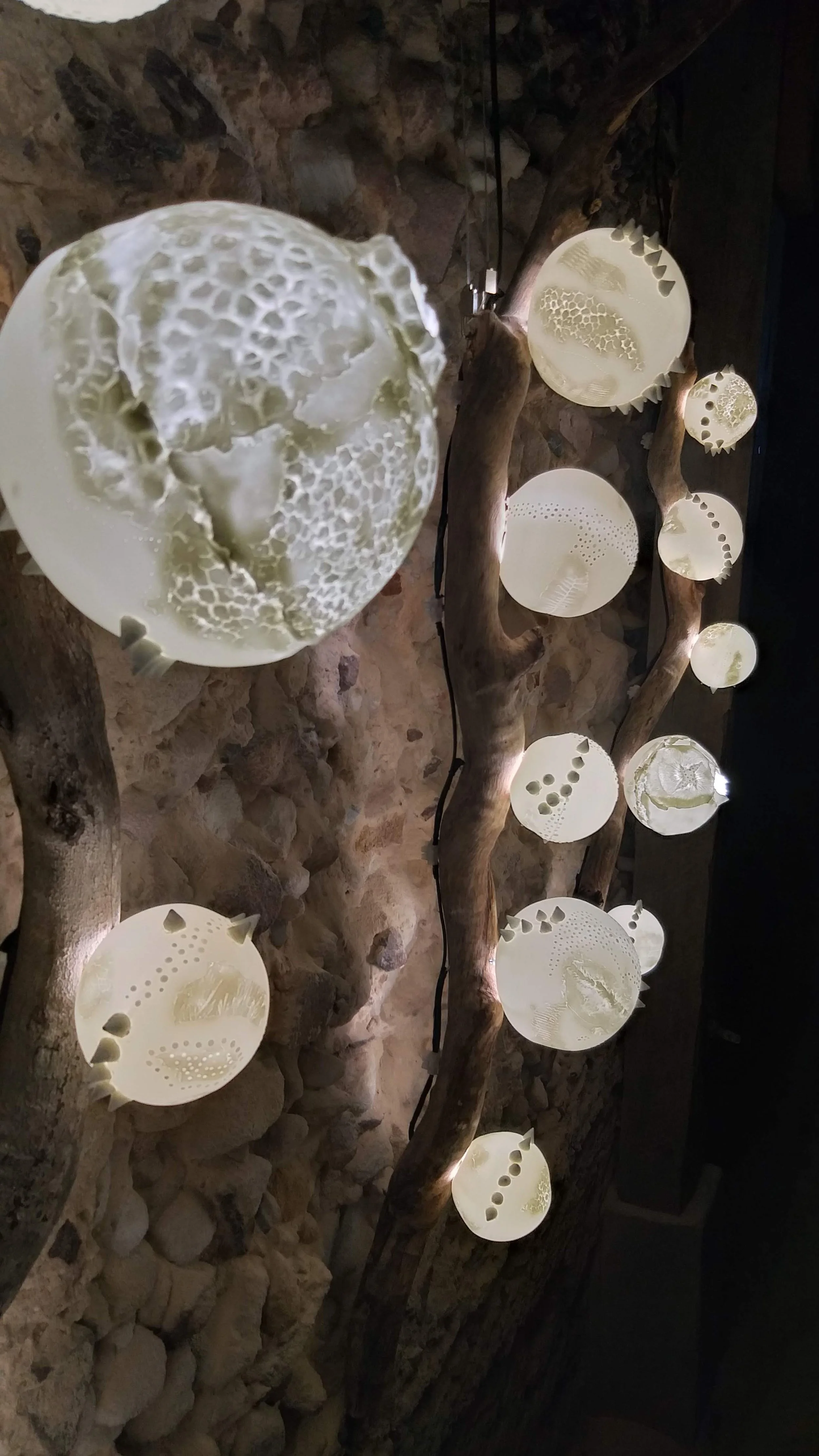 Biomorph - Installation - North Sydney Coal Loader - 2022
Bone China, driftwood,  LED lighting