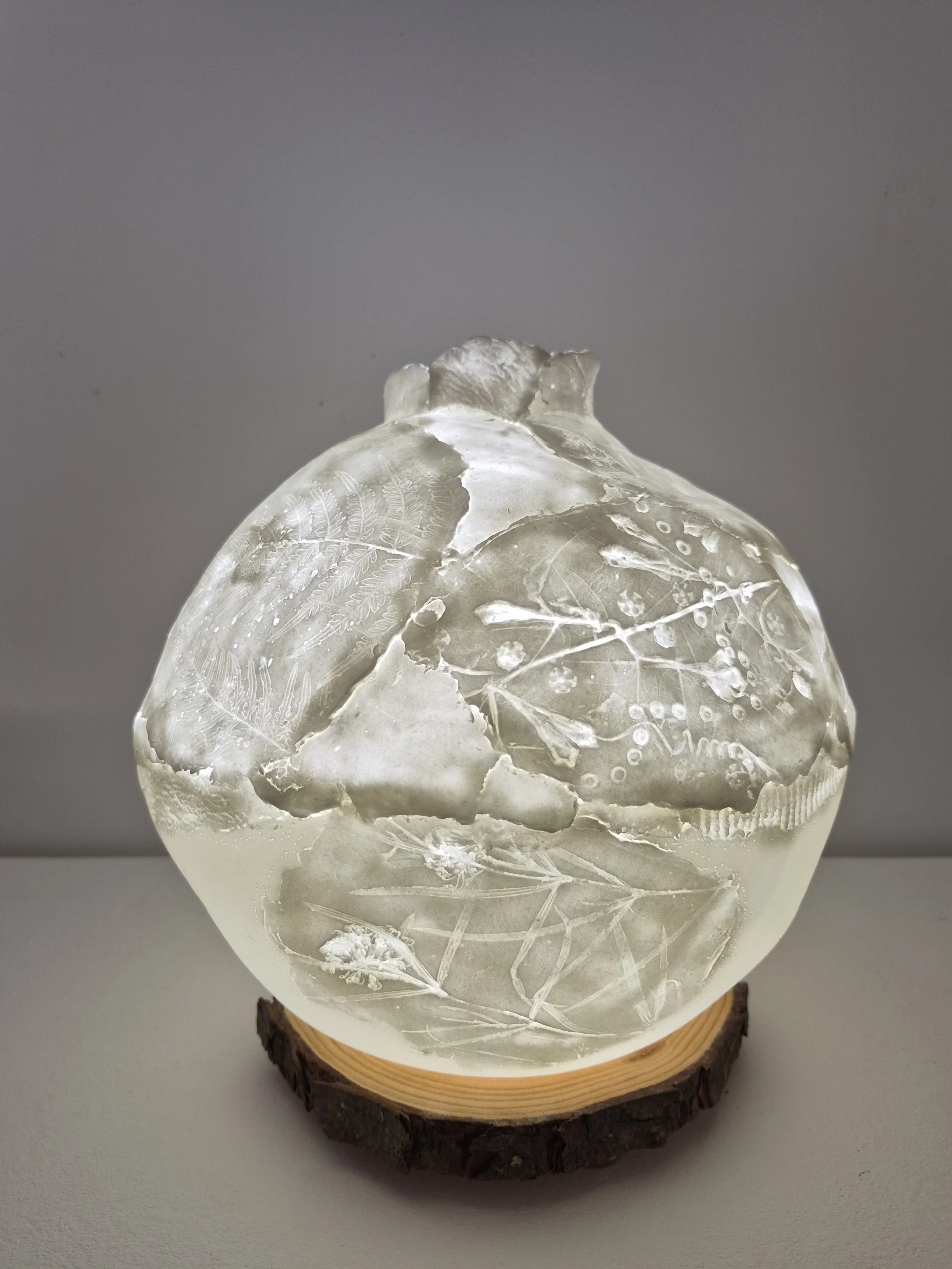 Biosphere
