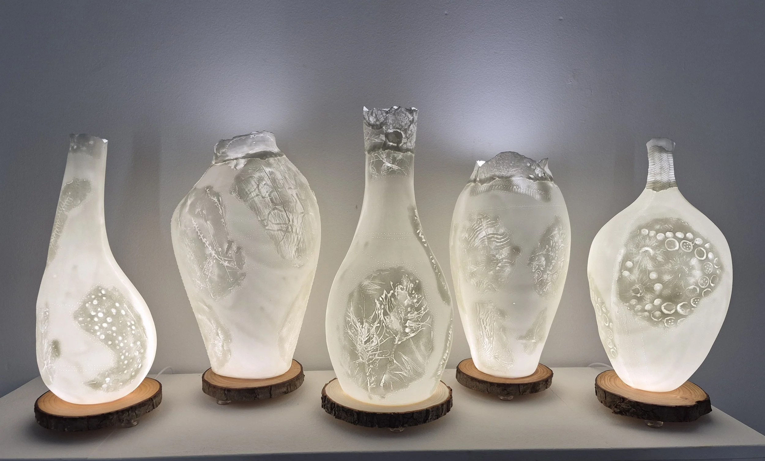 Understory series -
Bone China, LED lighting, wood rounds
