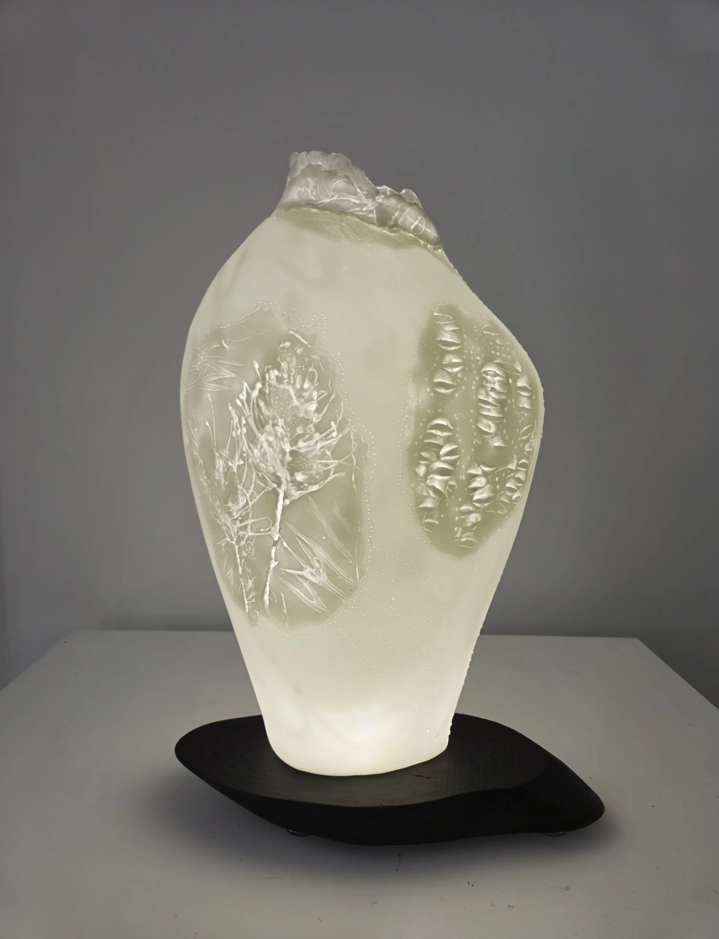Orbicular - Understory series - 2nd prize at The Summer Art Prize 2025 - Northern Beaches Gallery - Bone China, wood base, Led lighting.