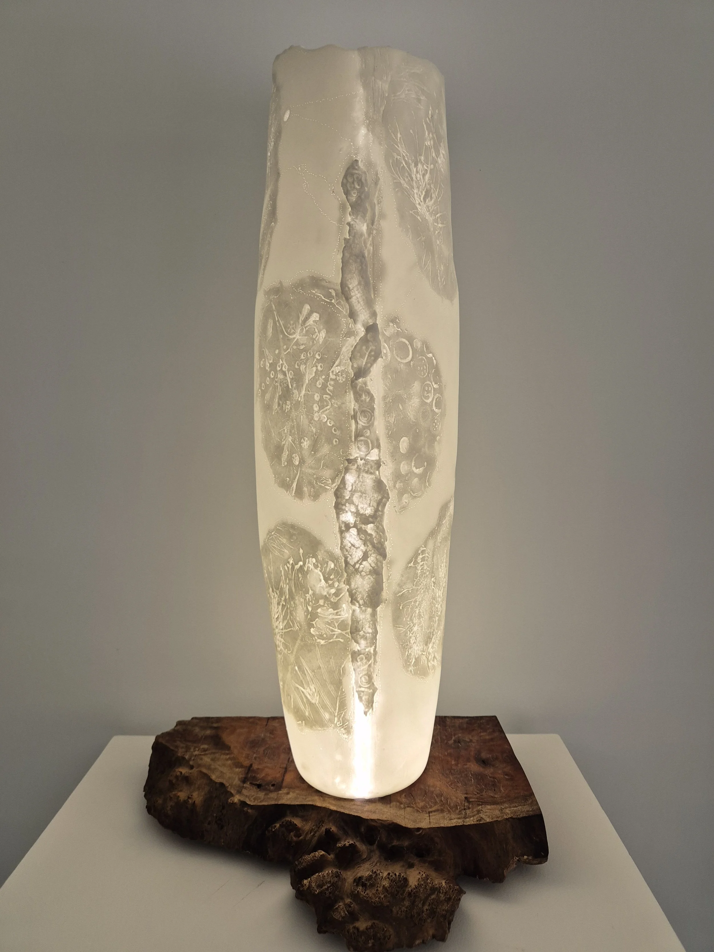 Understory series (Sylph) -
Bone China, LED lighting, wood round