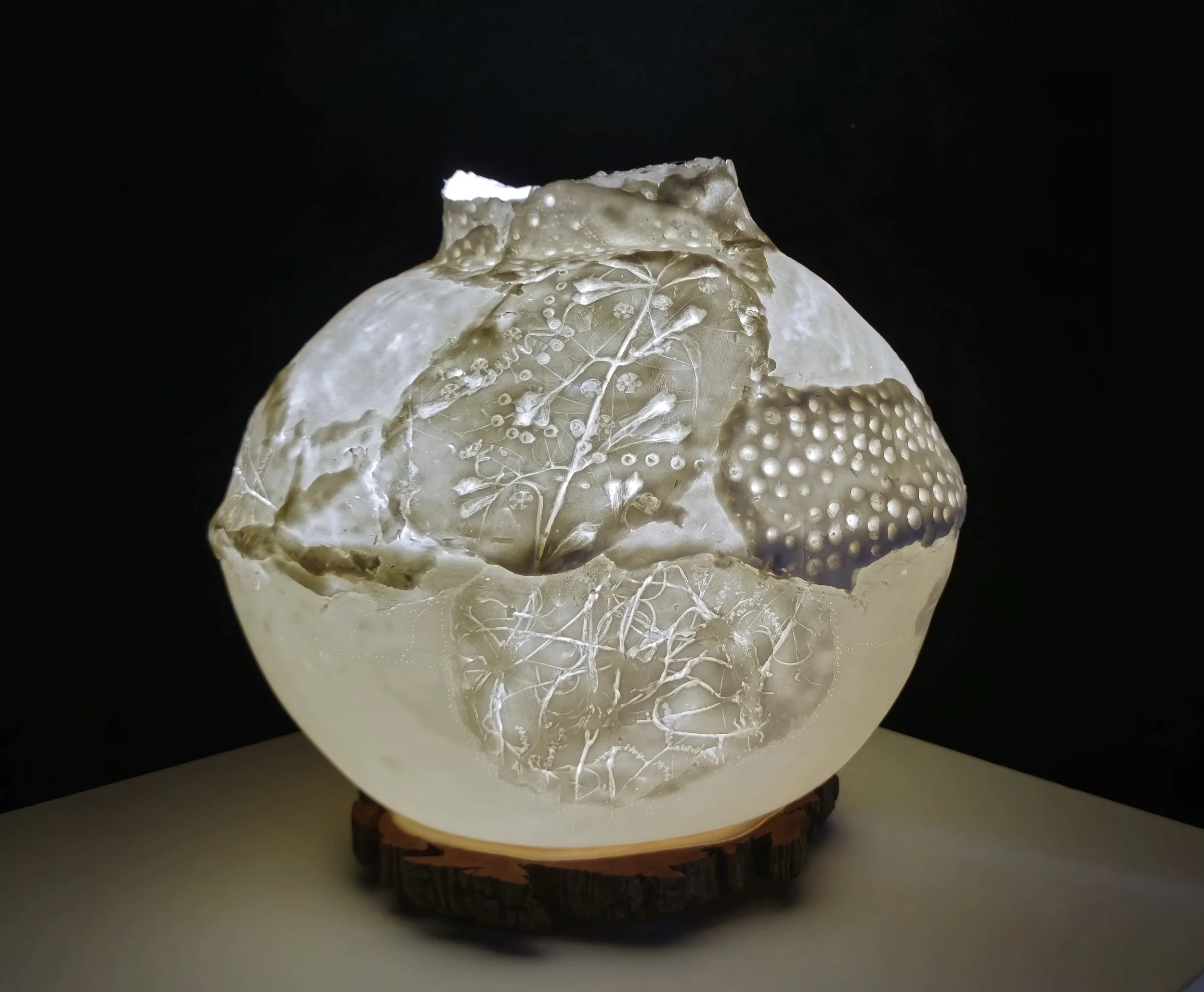 Biosphere - Finalist in Sculpture in the Vineyards - Bone China, wood round,  LED lighting