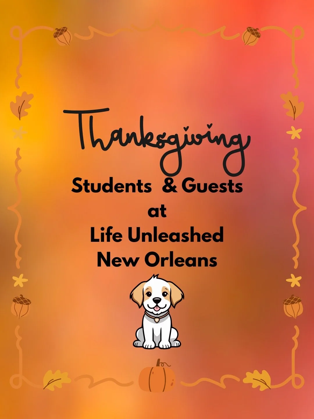 ✈️🚗🍁When the humans travel, the pups throw the real Thanksgiving party. 🐶🎉🍁

Charlie, Lucy, Voodoo, and Winston hosted the whole crew this week! 

💎One of the perks of training with Life Unleashed? 

Structured boarding that keeps the good habi