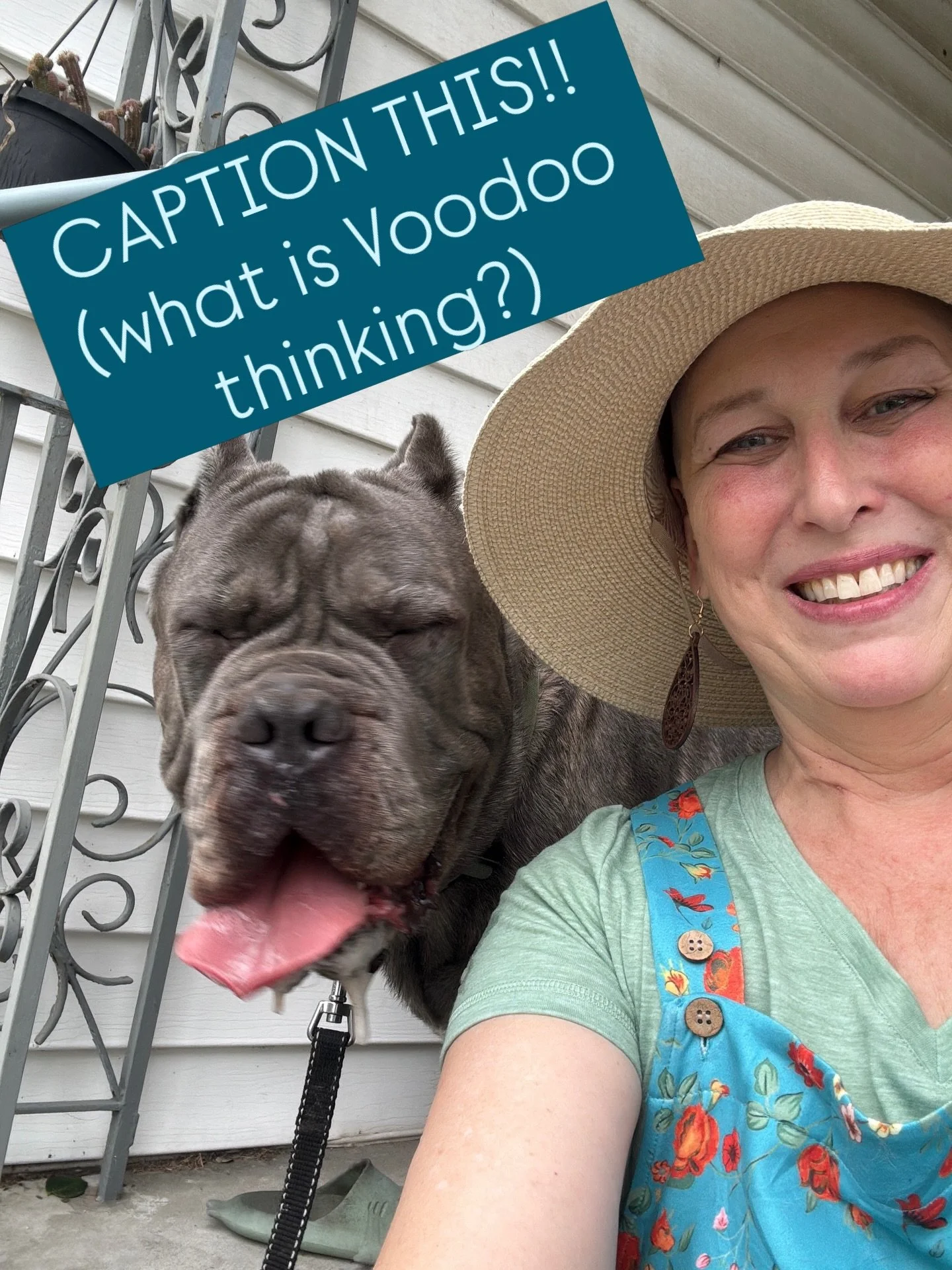 I don&rsquo;t get it! We had a beautiful two mile walk, our requisite apples and (this time) almond butter, and this is the &lsquo;tude he throws down?? 🤣 My chemo brain can&rsquo;t come up with a witty caption, but he&rsquo;s just too cute not to s