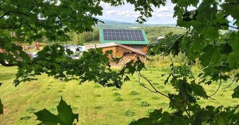 Solar panels on a roof through the trees