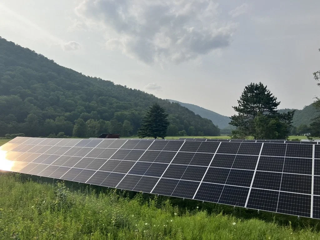 Solar panels in a field