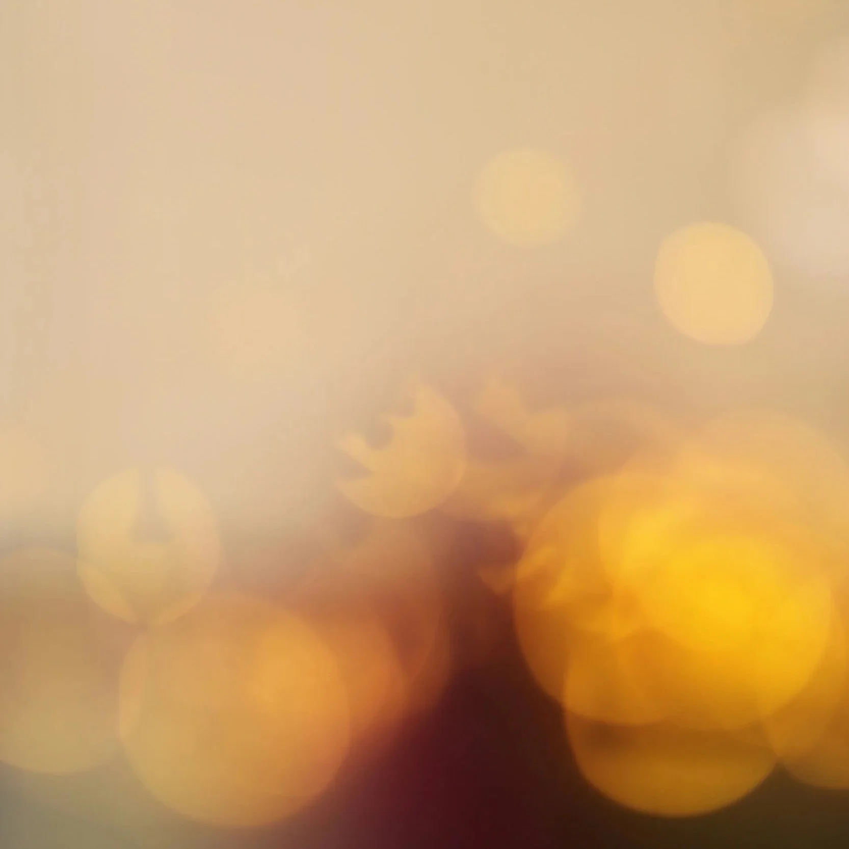 Sunlight / Villanelle