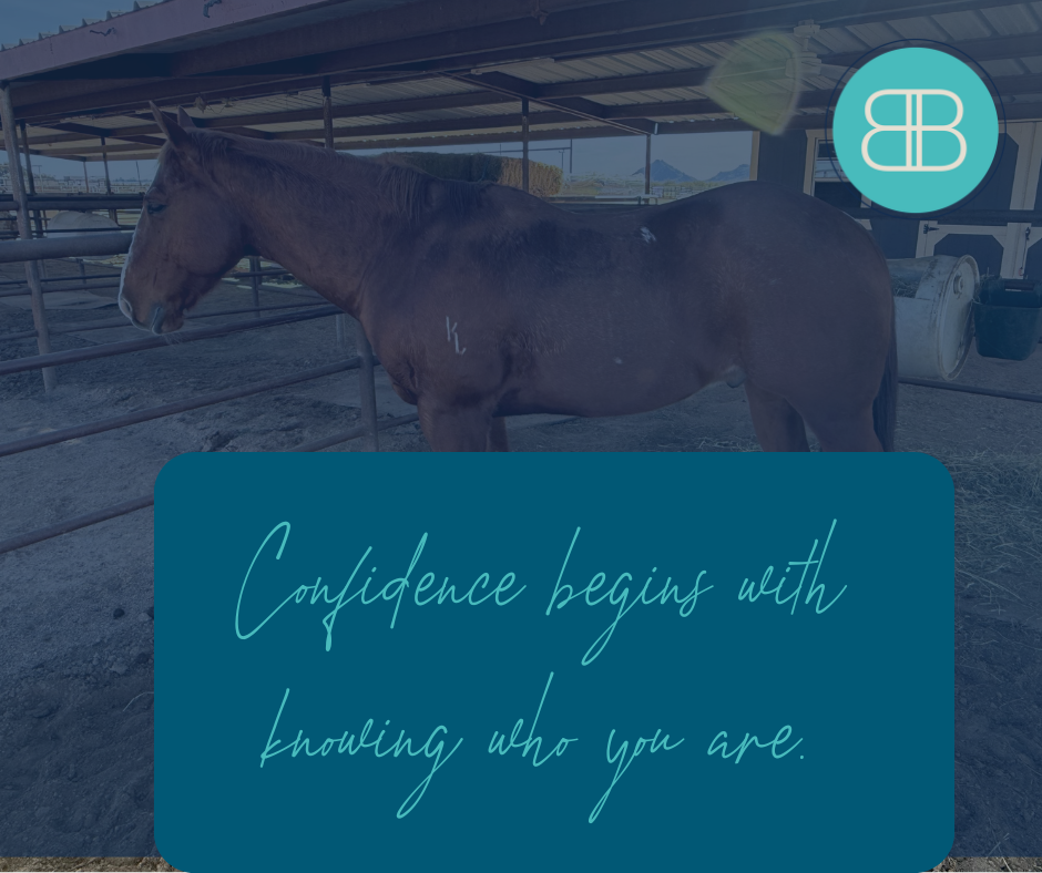 Where Do You Get Confidence From?
