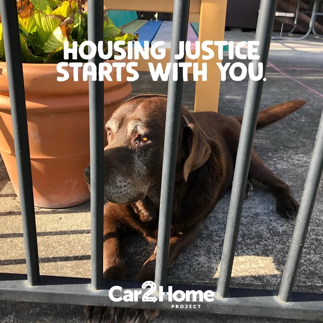 Pets are also casualties of the #housingcrisis #homelessnessawareness