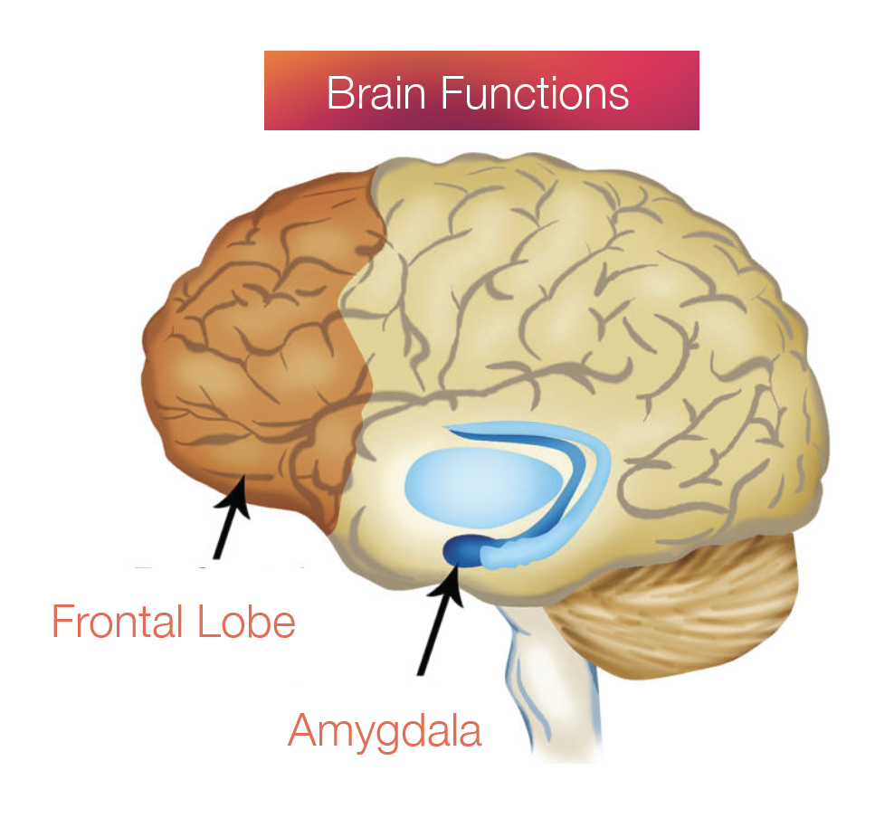 Are Leaders Responsible for Emotional Labor?