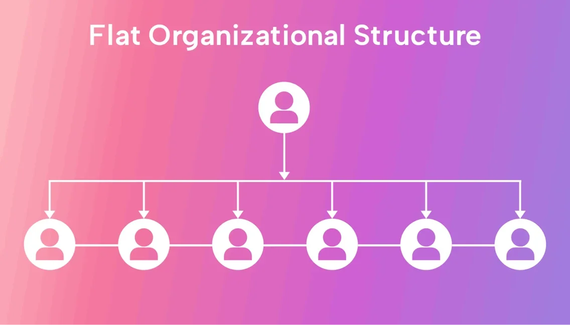 Flat Organizational Structure