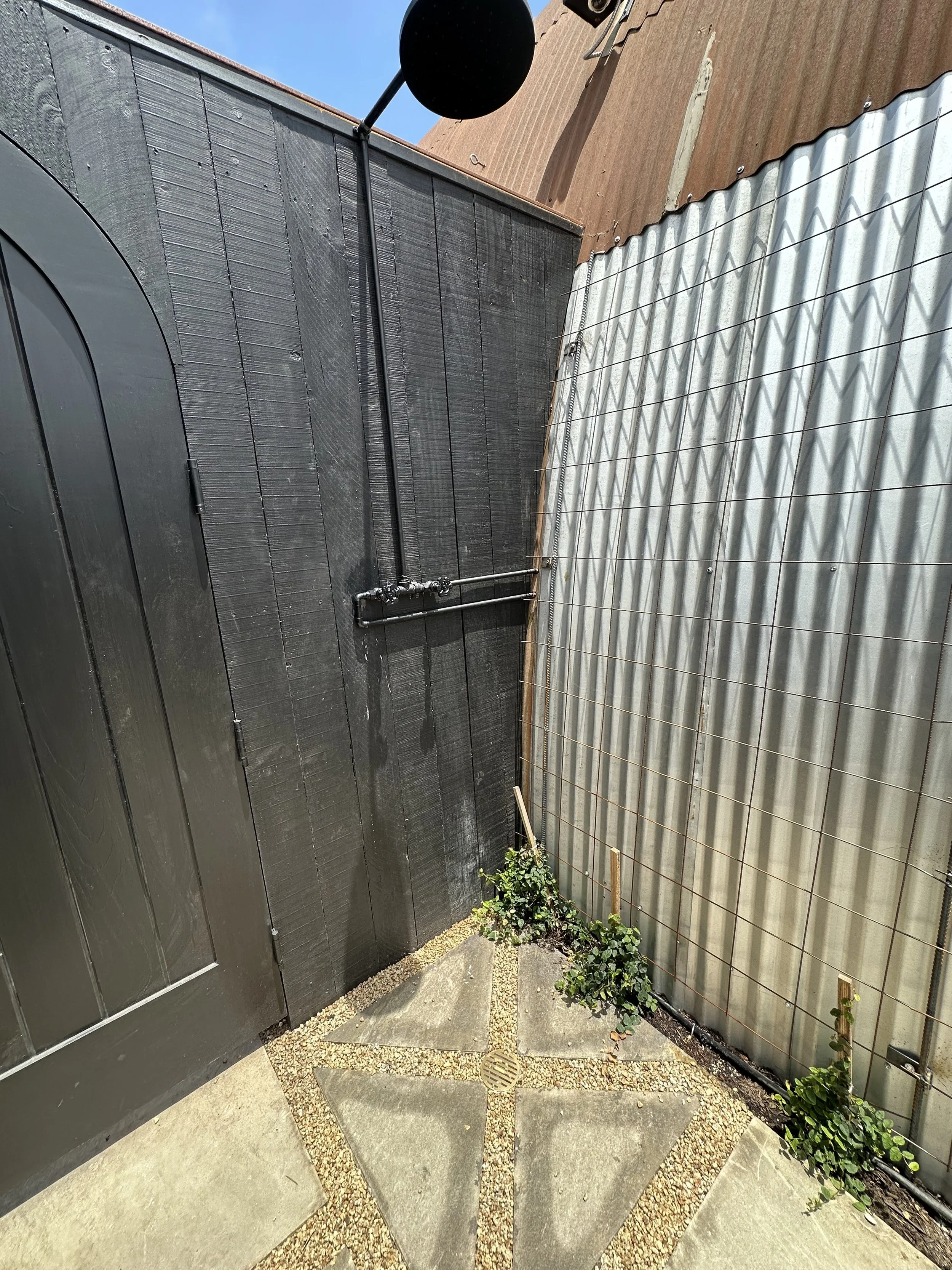 IMG_6603.jpeg