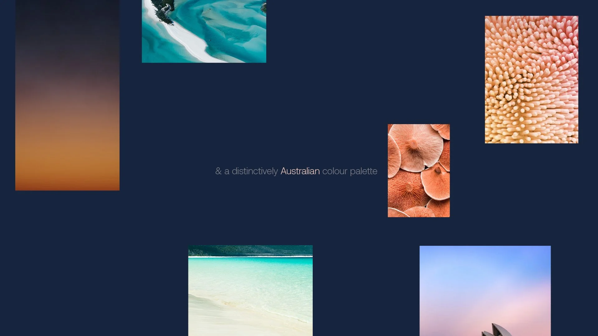 HAINES YACHT SALES_CASESTUDY4.jpg