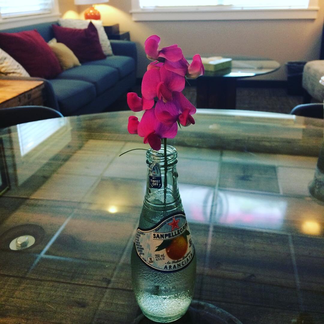 I'm fortunate to have an office that has sweet peas growing right outside. No vase, no problem!