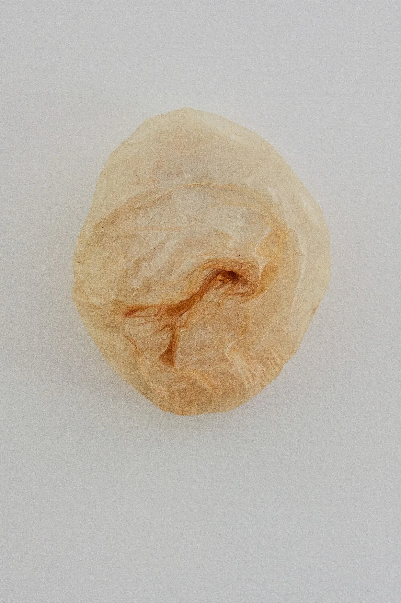 vesica, after the body, light remains _1-2.jpg