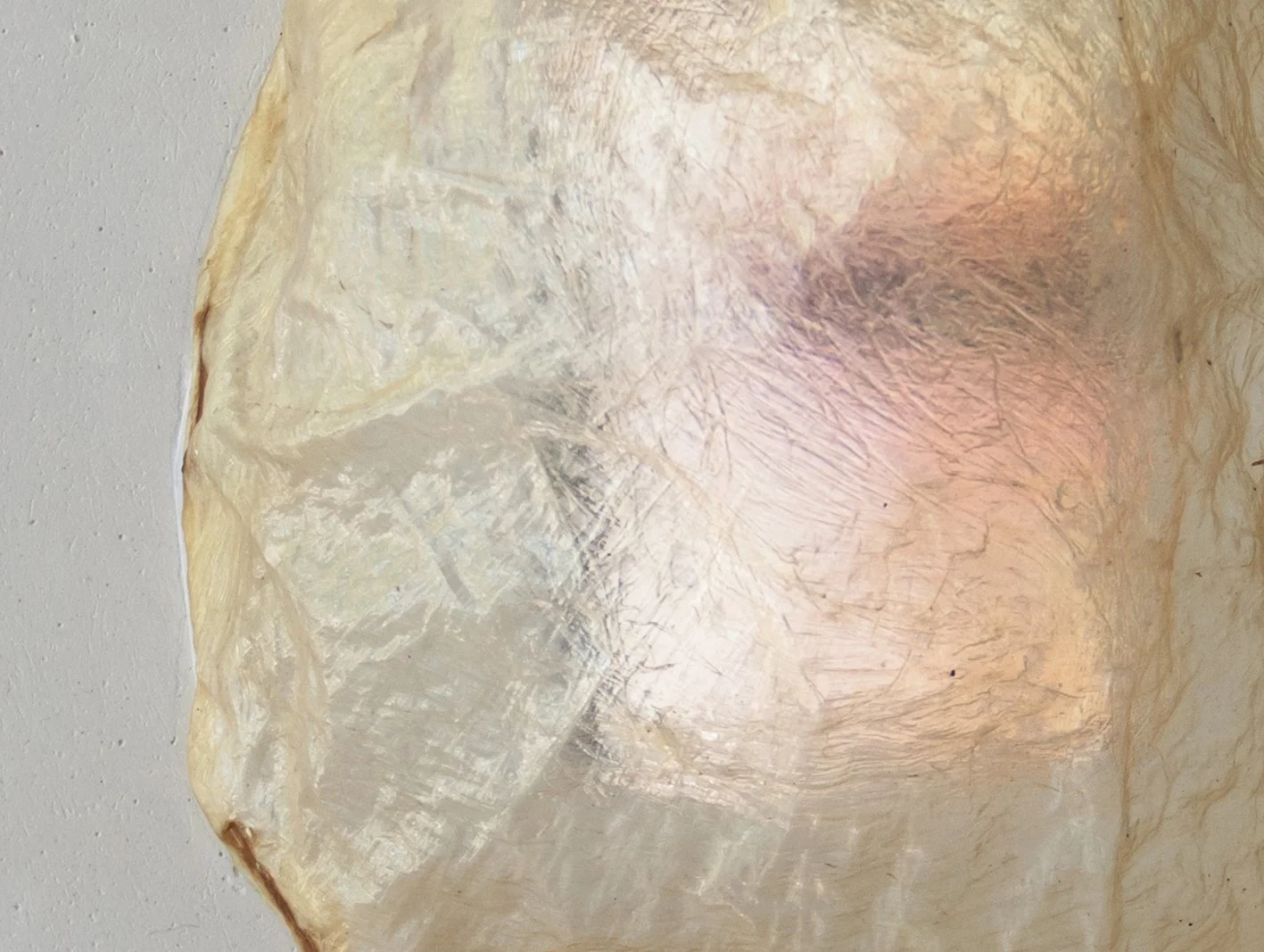 Isabell-Heiss_Echoes-under-my-skin_close up_web.jpg