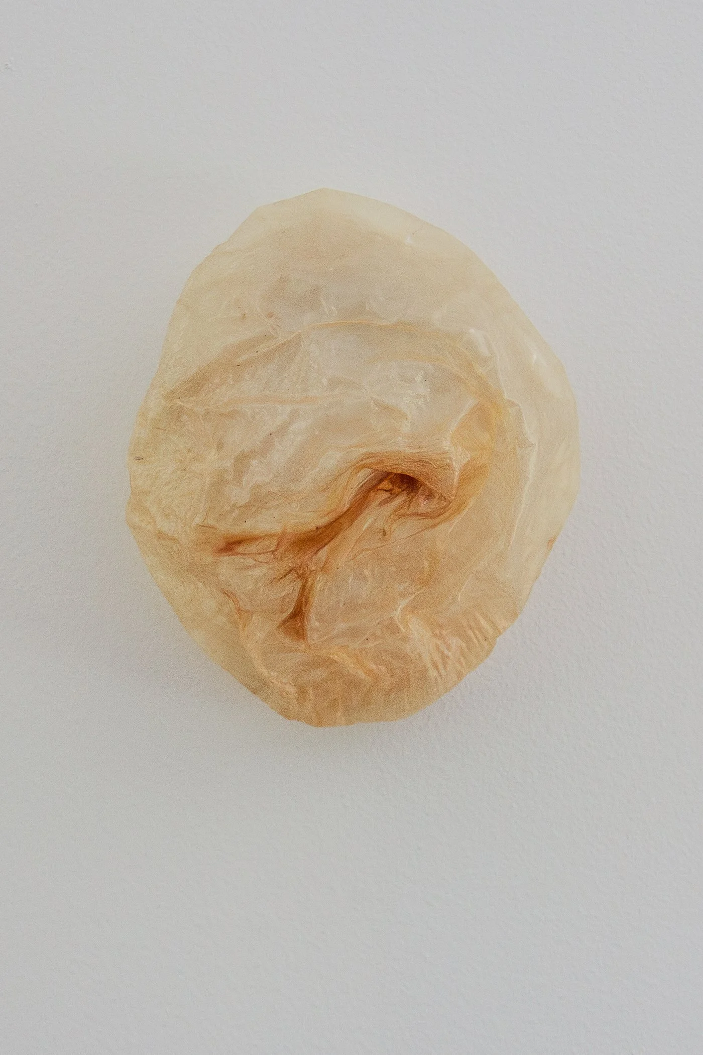 Vesica (after the body, light remains)