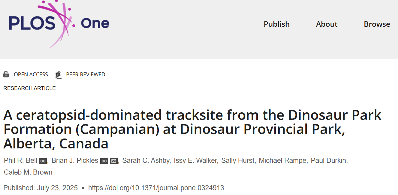 Dinosaur Dancefloor