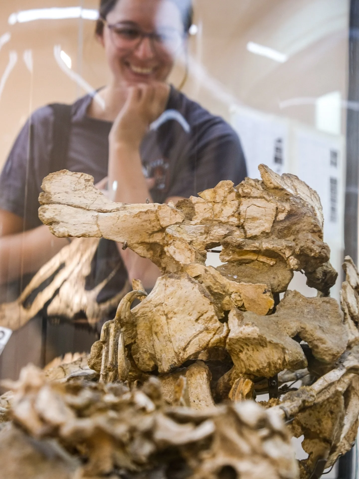 &lsquo;Mongolia has over 40 national treasures. Seven of them are in this room.&rsquo;

The Fighting Dinosaurs - a Protoceratops and Velociraptor locked in combat when a sand dune collapsed on them, preserving the battle

Oviraptor on Nest - a broodi