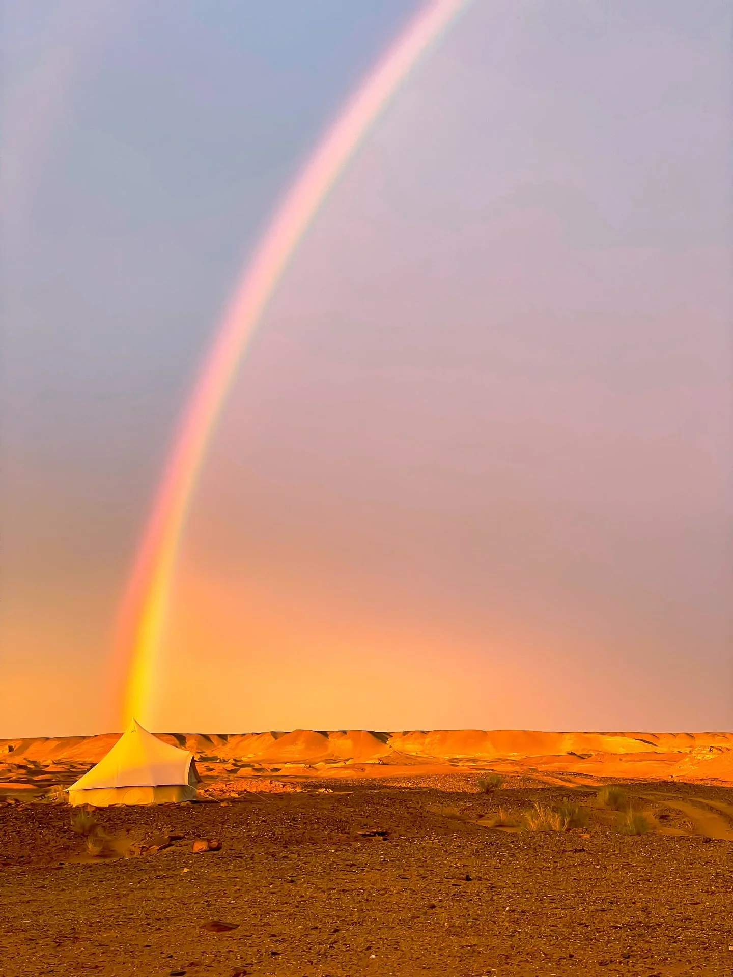 Welcome to the Gobi Desert 🏜️ 🦕

Part 1: Camp and Surrounds

@mongoliaquest
