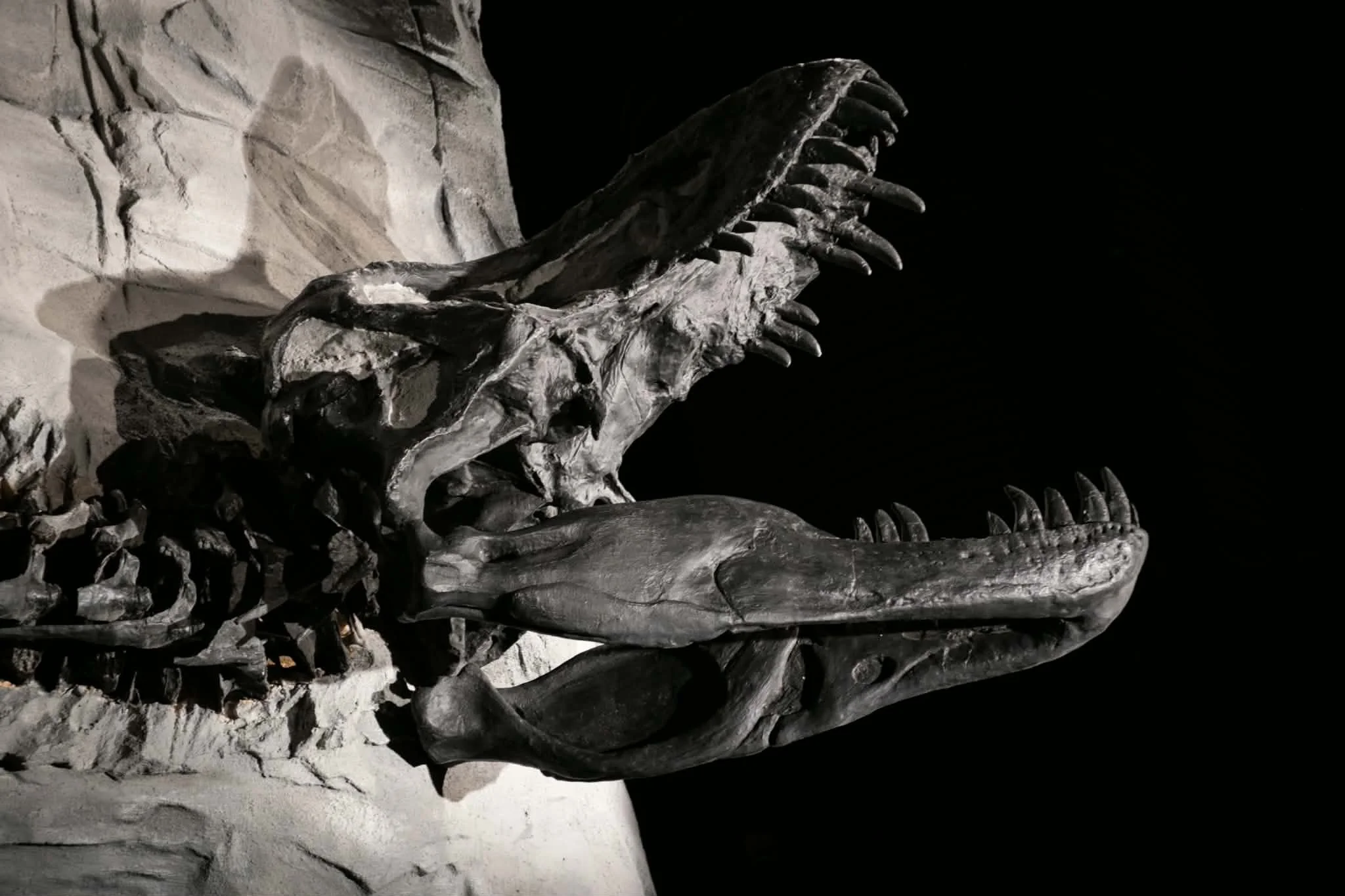 Dinosaur Features - School Holiday Workshop at Balmain Library