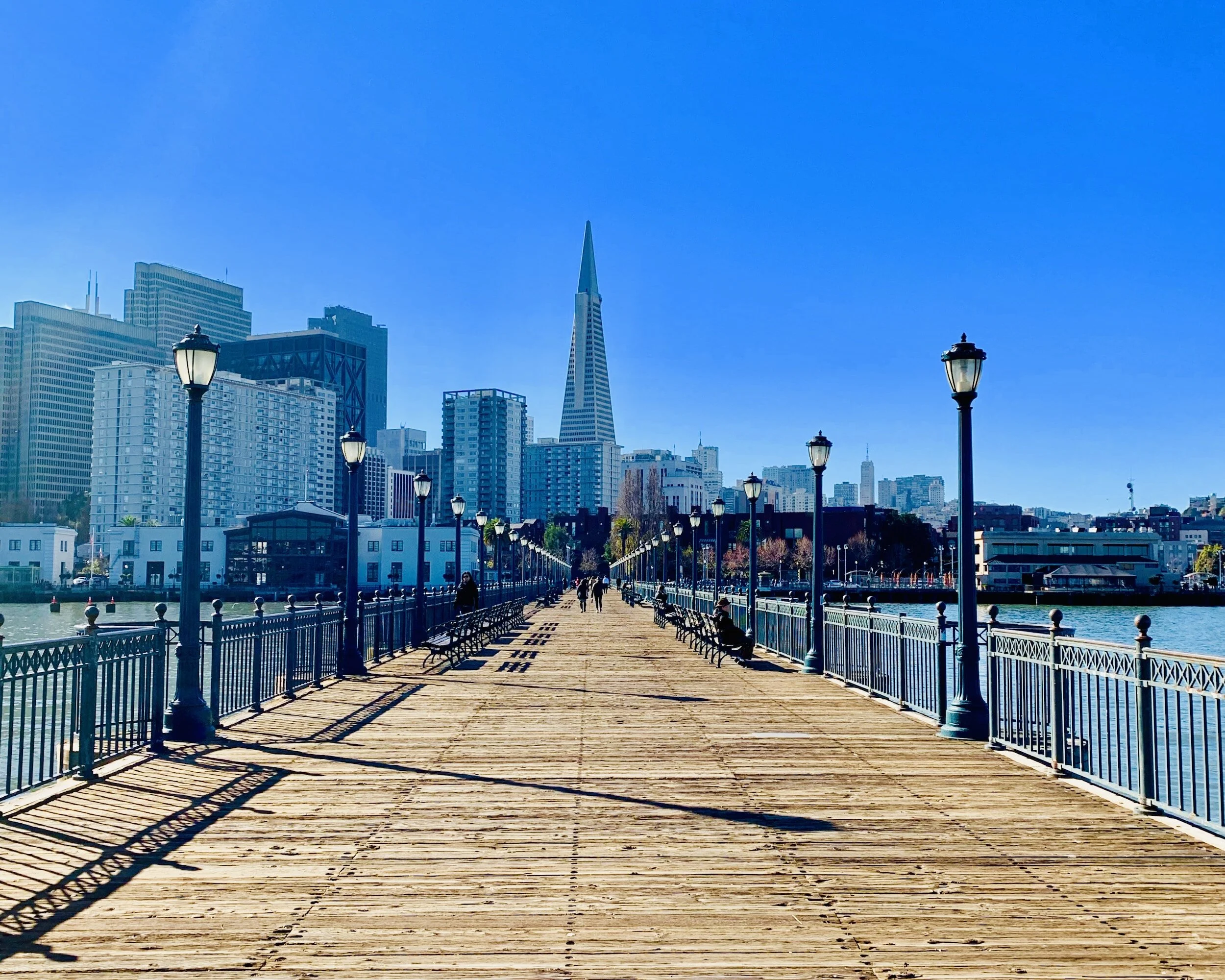 Strategies & Solutions Inc Contact Us