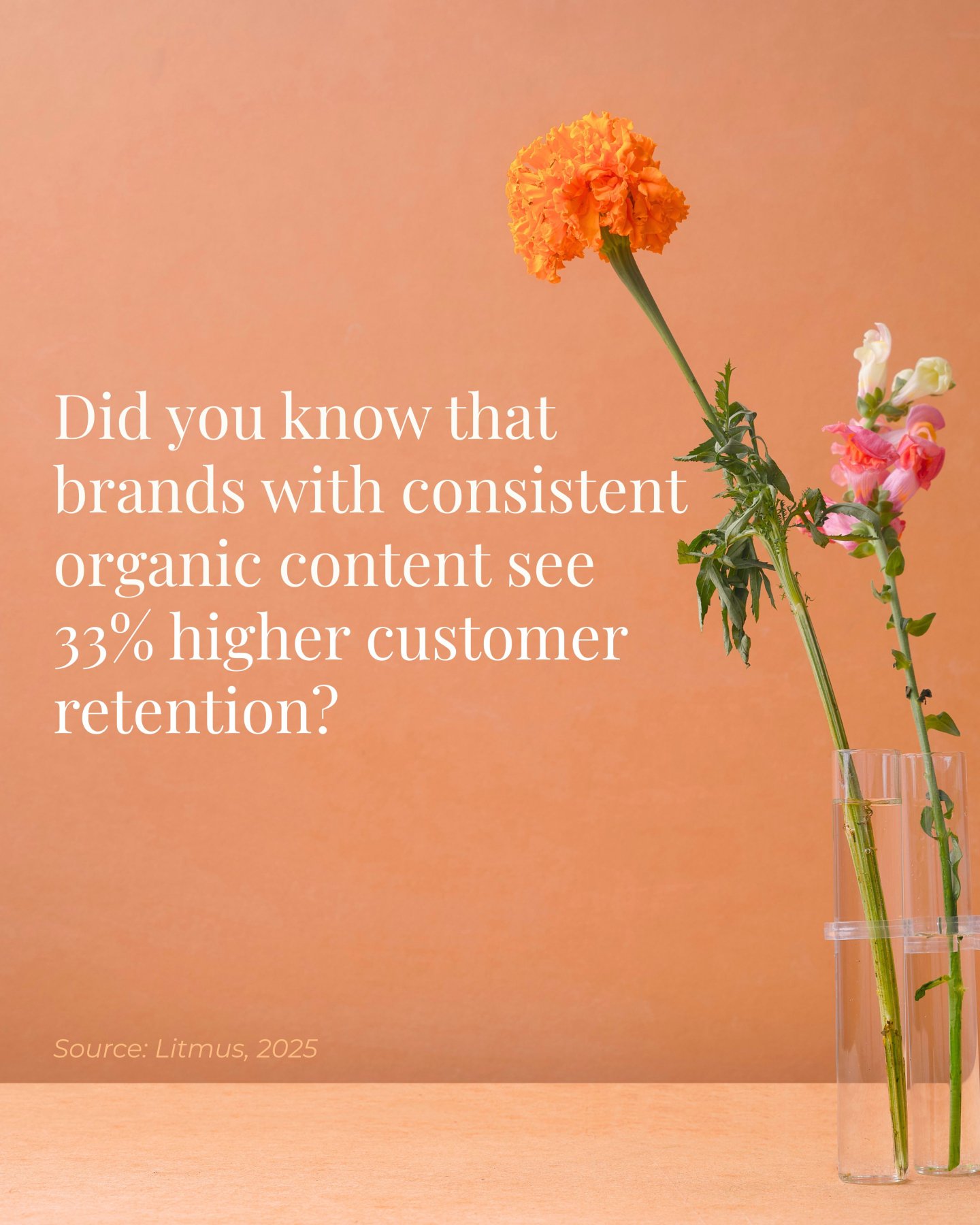 Organic social media in NZ is still one of the most affordable brand-building tools on the market ✨

Want to know more about why NZ brands are doubling down on organic social? 

Check out our latest article. Link in bio 👉
