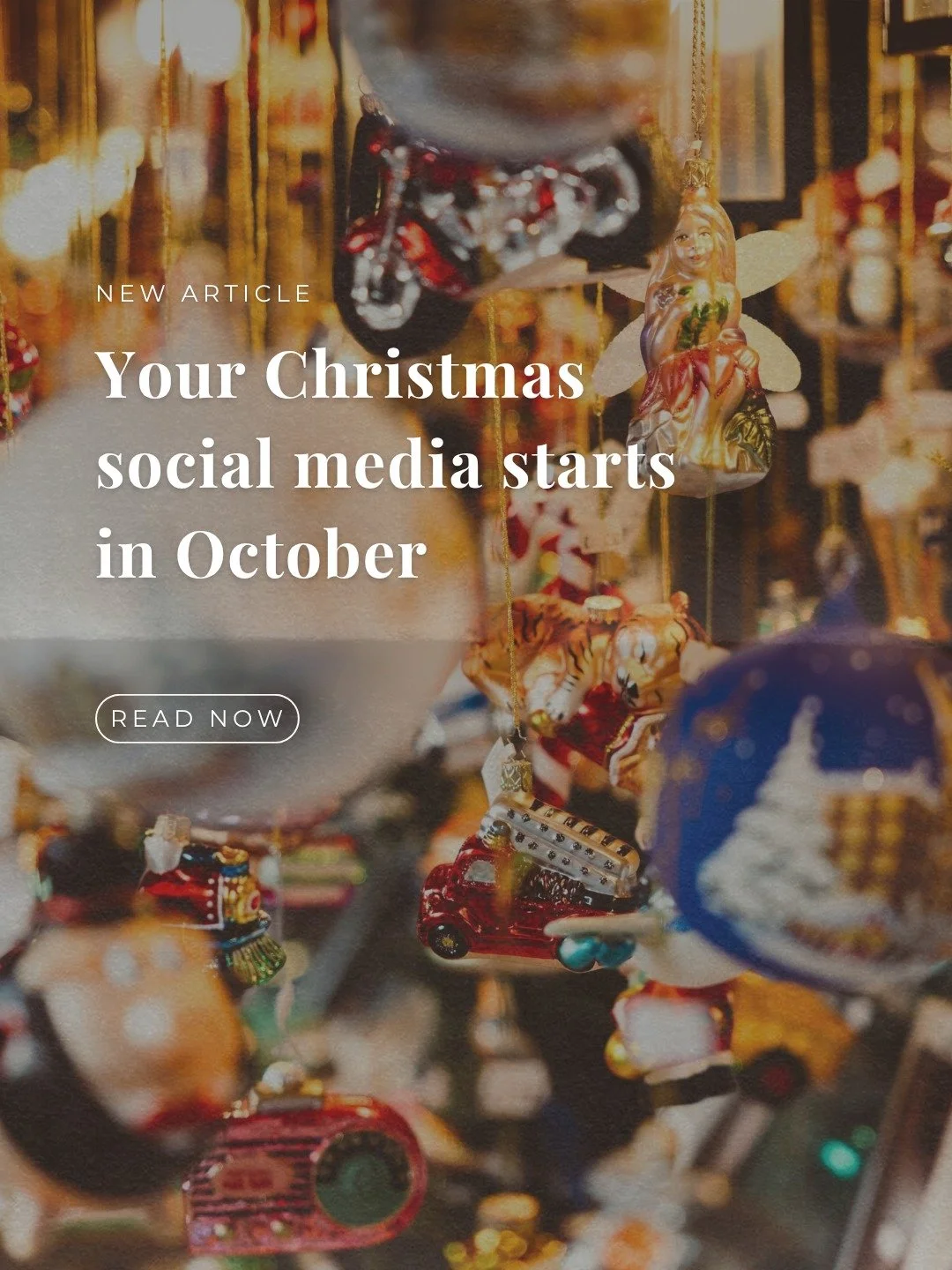 Your Christmas social media starts now 🎄

Kiwis are shopping earlier every year, and the brands they buy from in December are usually the ones they got to know in October.

We've put together what to post, what to hold back, and how to get your ads 