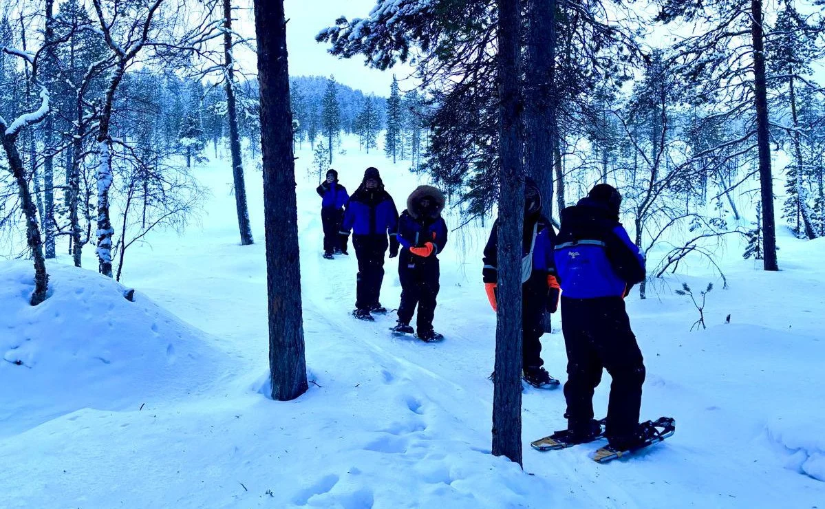 WhatsApp Image 2026-02-22 at 16.18.46.jpeg