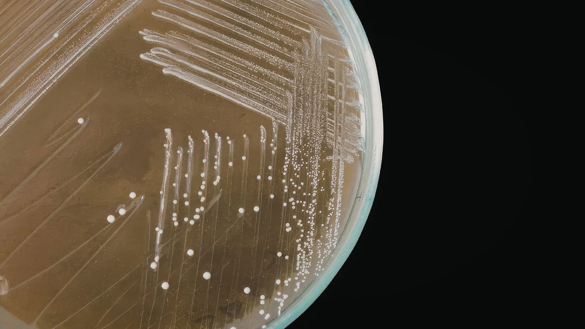 Industrial biotech marketing: it’s complicated