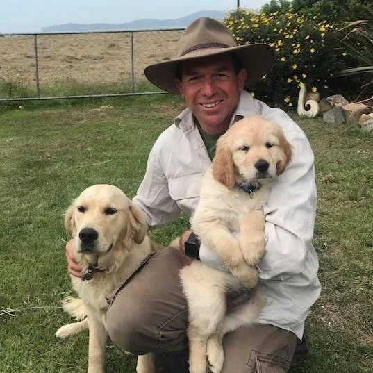 Stuart Barnes Dog Behaviourist VIP Club — Stuart Barnes Dog Behaviourist