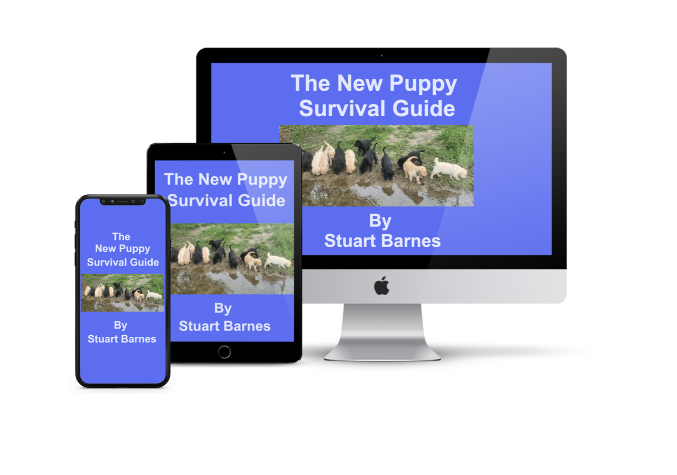 The New Puppy Survival Guide