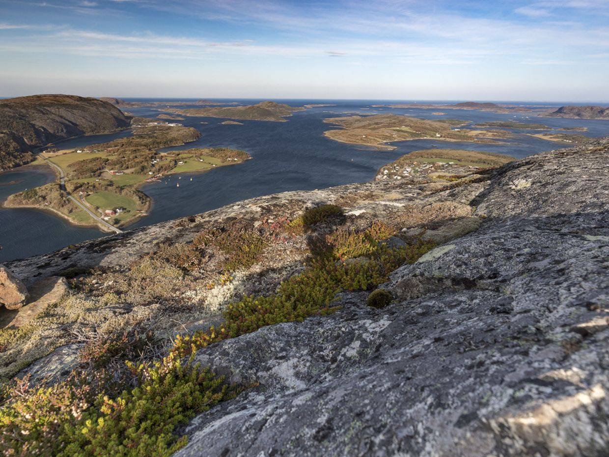 zbfoto-fotoreise-marcel-burkhardt-norwegen--tierfotografie-im-wilden-norden-02.jpg