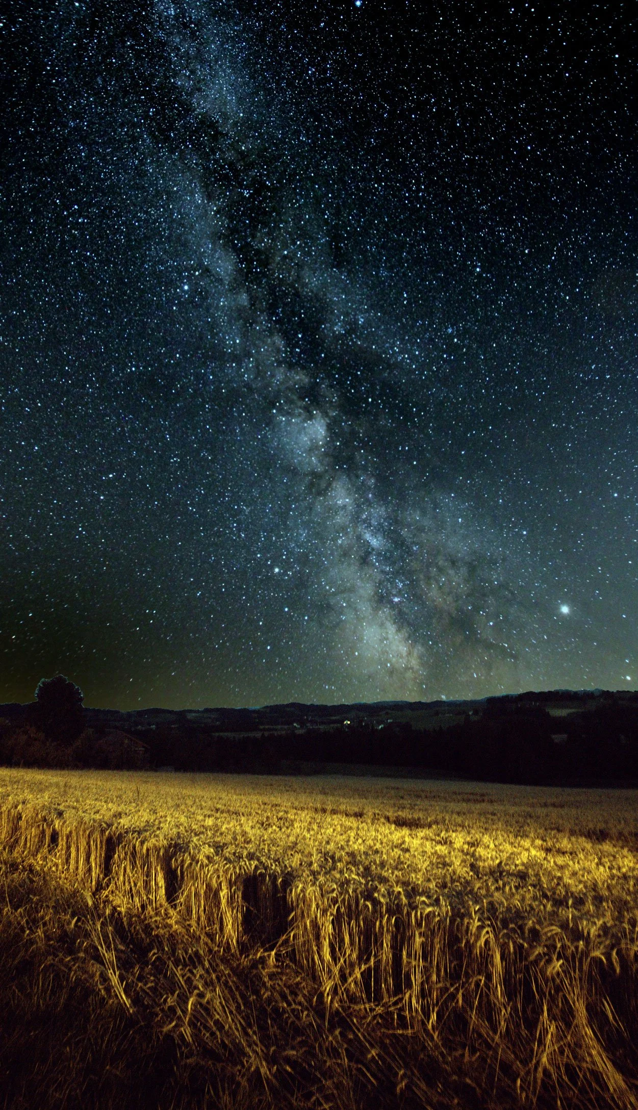 Tier-, Landschaft- und Astrofotografie im Naturpark Beverin 2026 | Tobias Küng und Ruedi Löffel