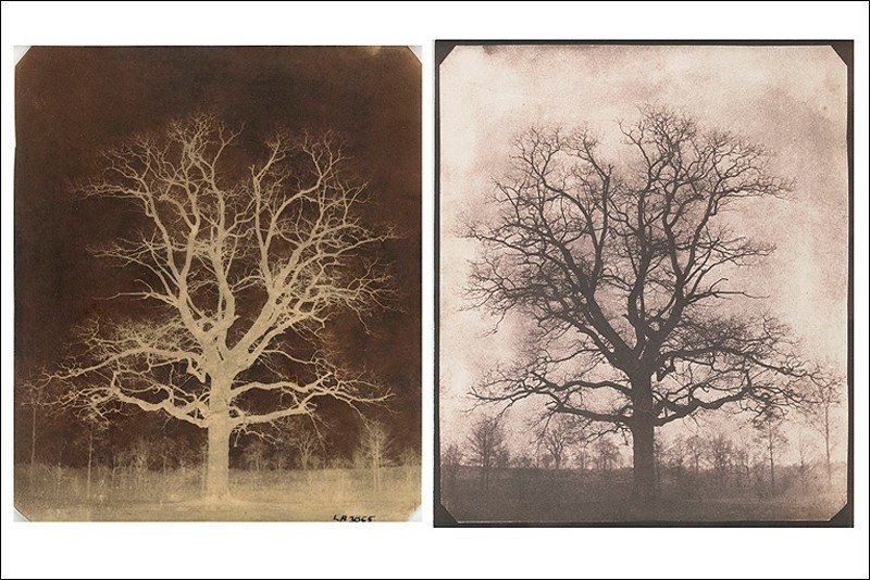 zb-foto-fotokurs-negative-petermichels02.jpg