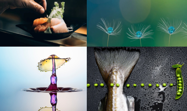 Schnupperfotokurs - Food / Makro / Tropfen-Fotografie | Claudia Zanvit, Adrian Ehrbar und Susanne Venditti