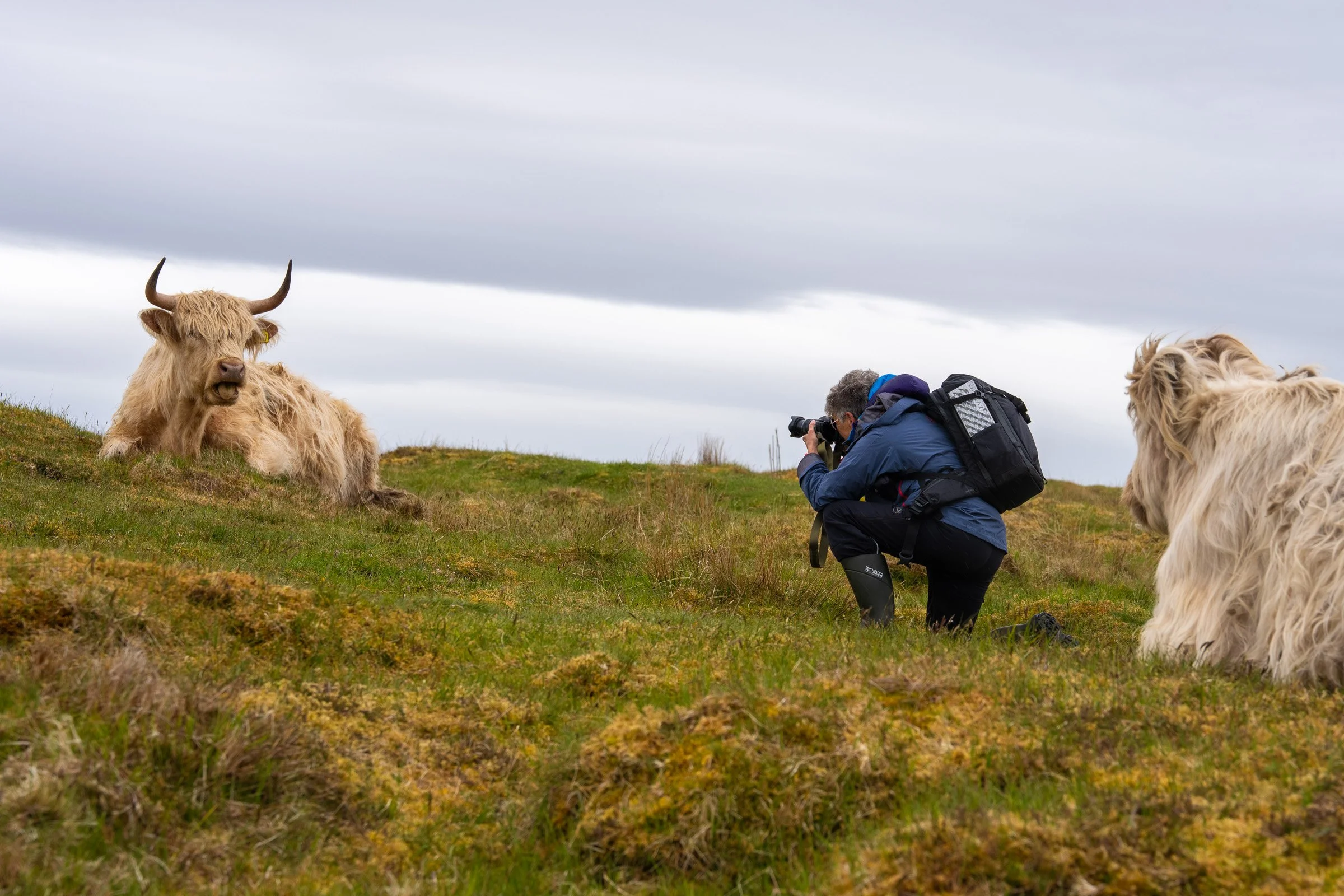 Scotland_2026_TN_14.jpg