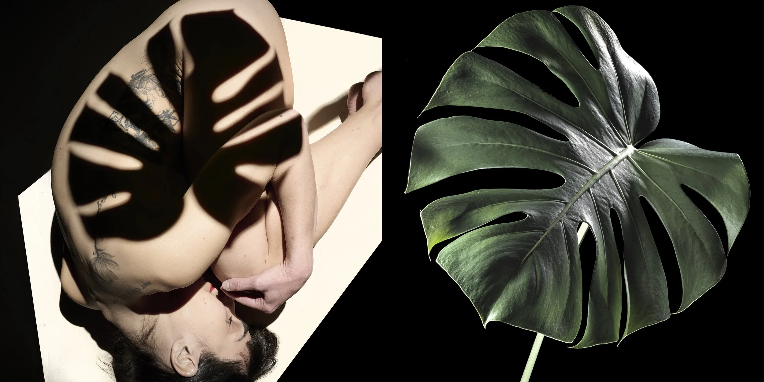 zb-foto-fotorkurs-nude-ursrecher02.jpg